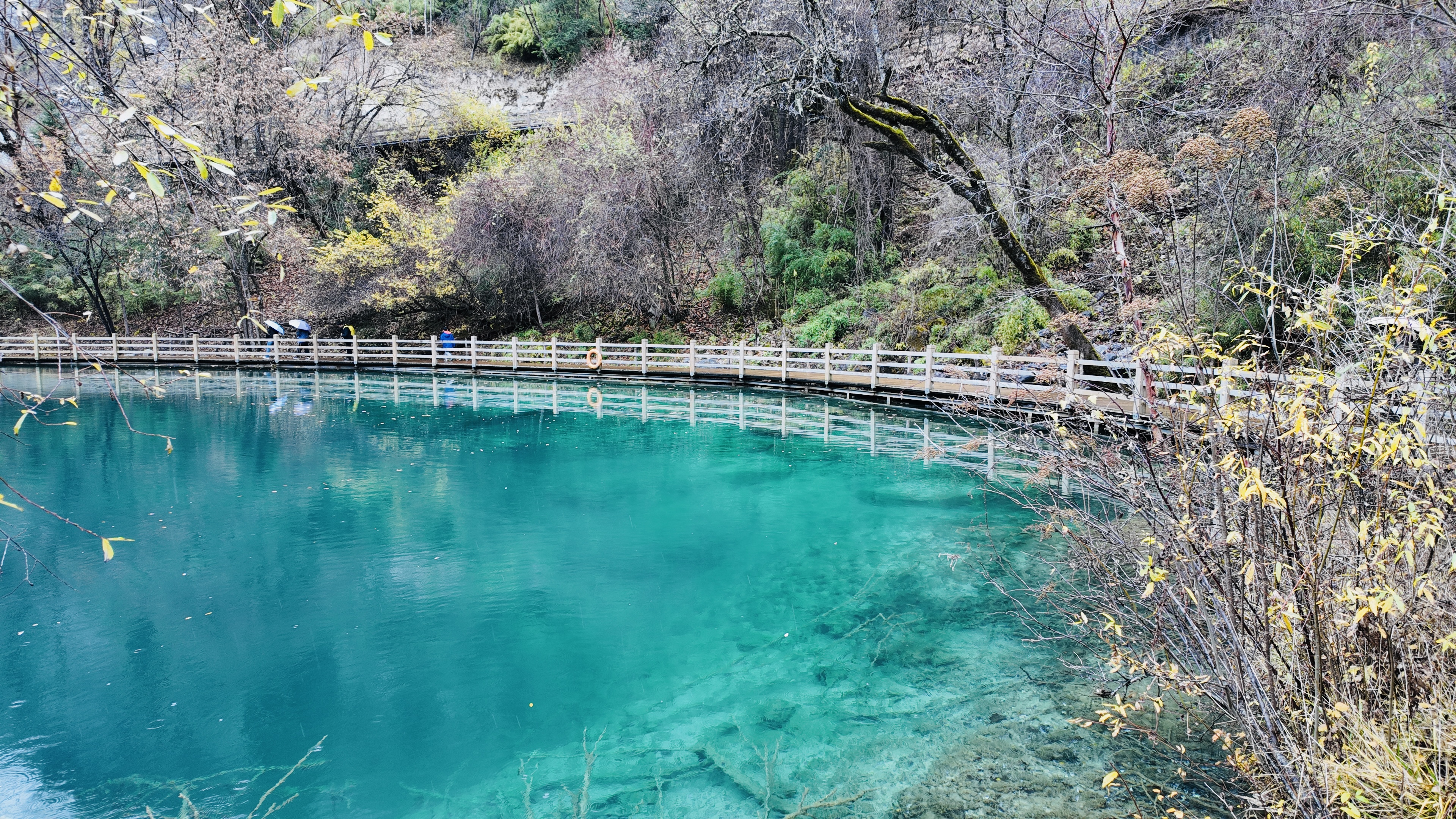 2025 秋假赏秋：九寨沟