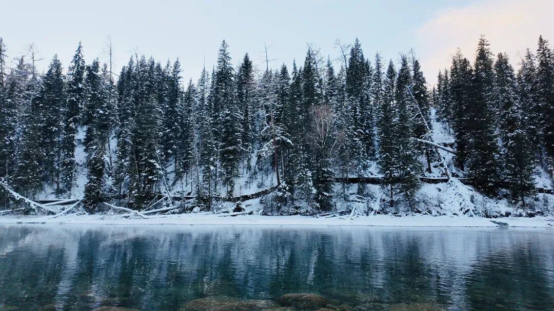 喀纳斯河冰雪季，把零下二十度的寒冷，都酿成了最治愈的宁静