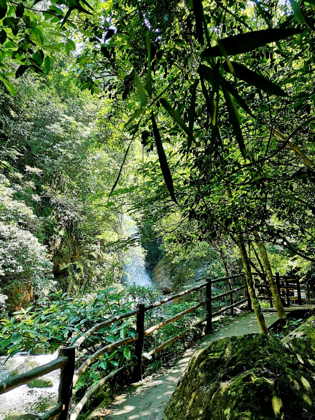每周一山&middot;向山野 | 9月14日 梧桐山森林溪谷草原秘境4KM亲子徒步 1日