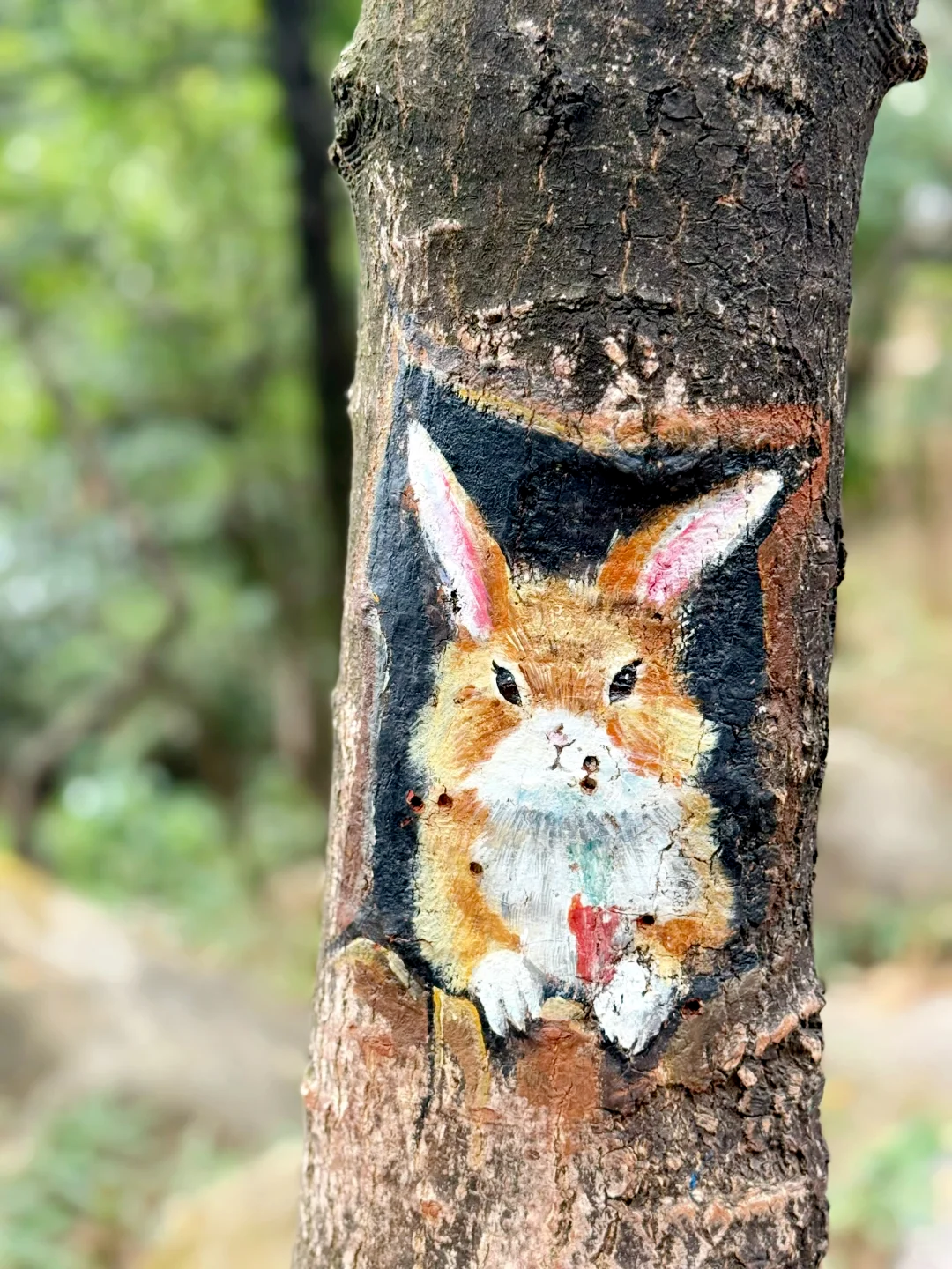 徒画山野 | 4月12日 黄麻101小环线 亲子徒步 1天