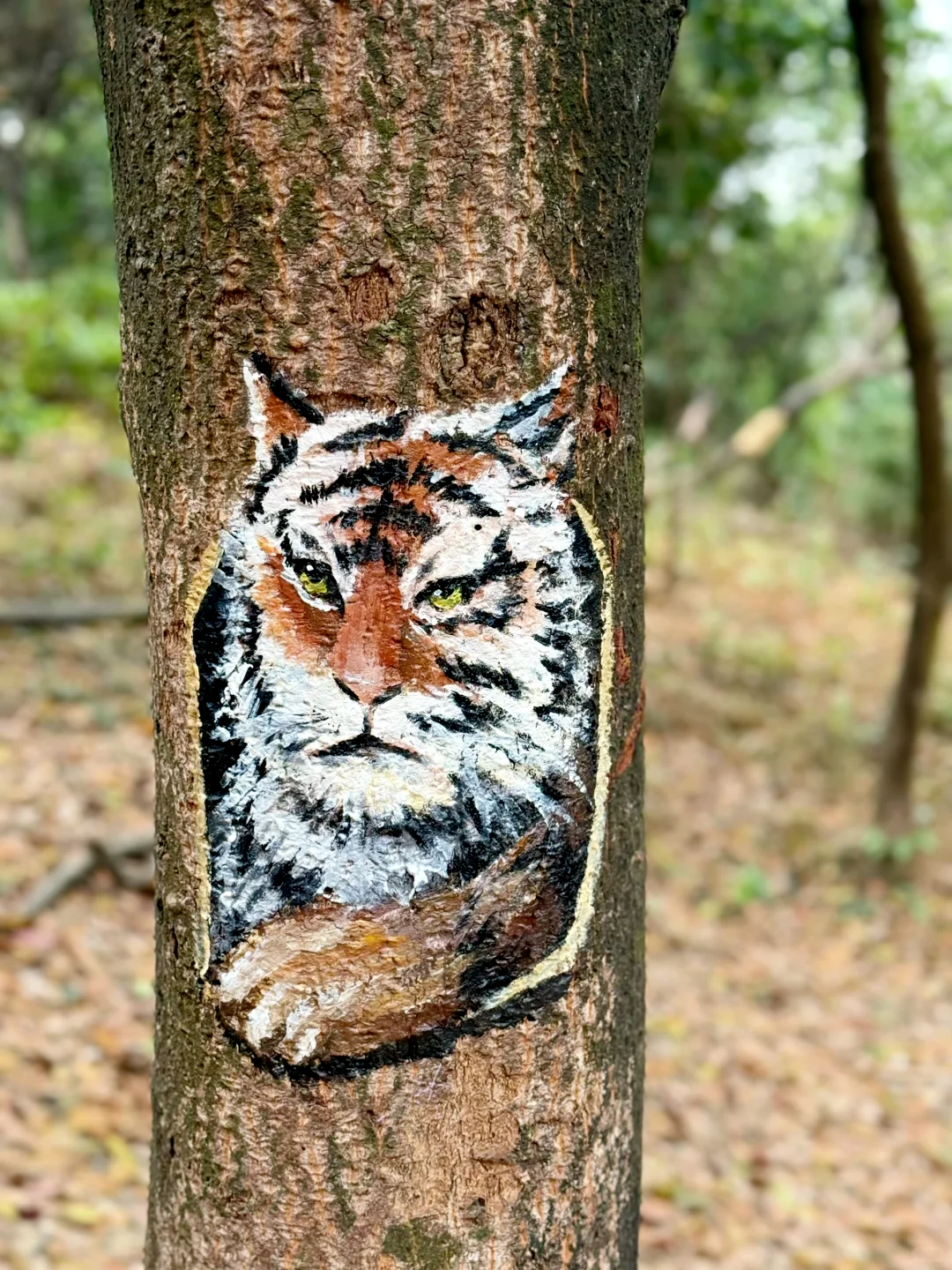 徒画山野 | 4月12日 黄麻101小环线 亲子徒步 1天