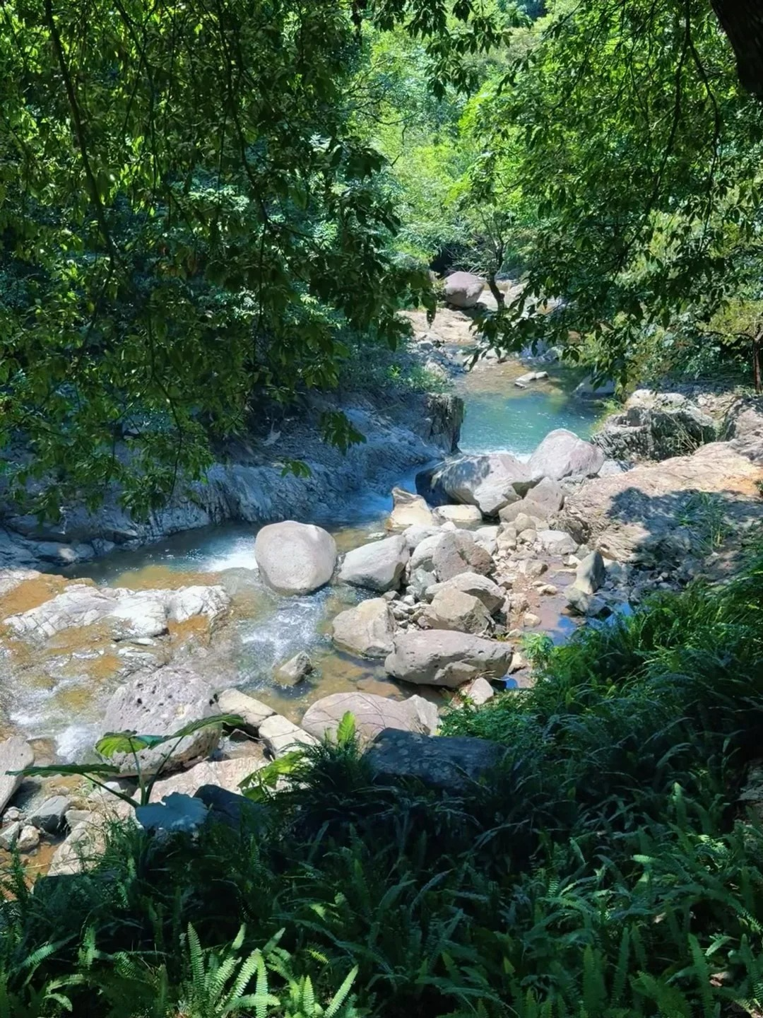 每周一山&middot;向山野 | 9月14日 梧桐山森林溪谷草原秘境4KM亲子徒步 1日